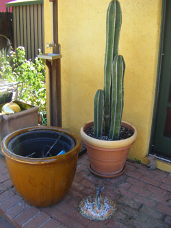 outdoor must-haves